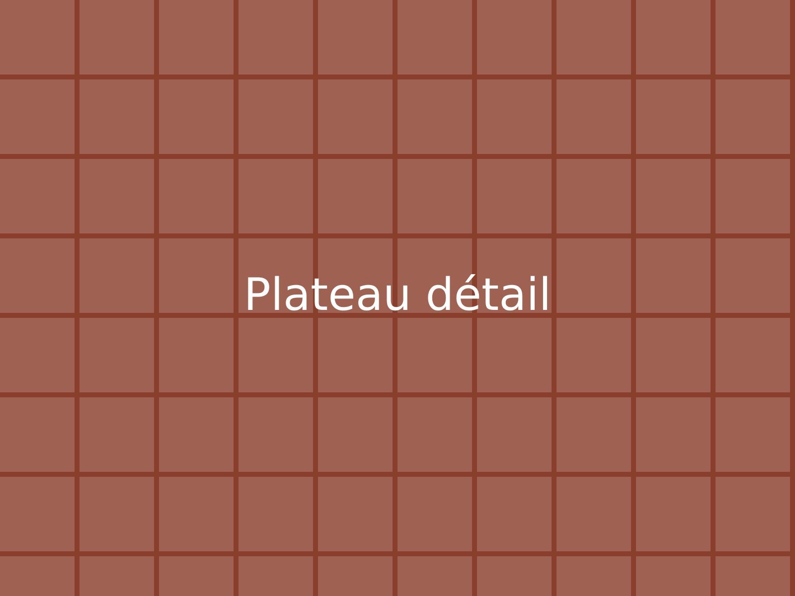 Détail des joints et de la poignée du plateau